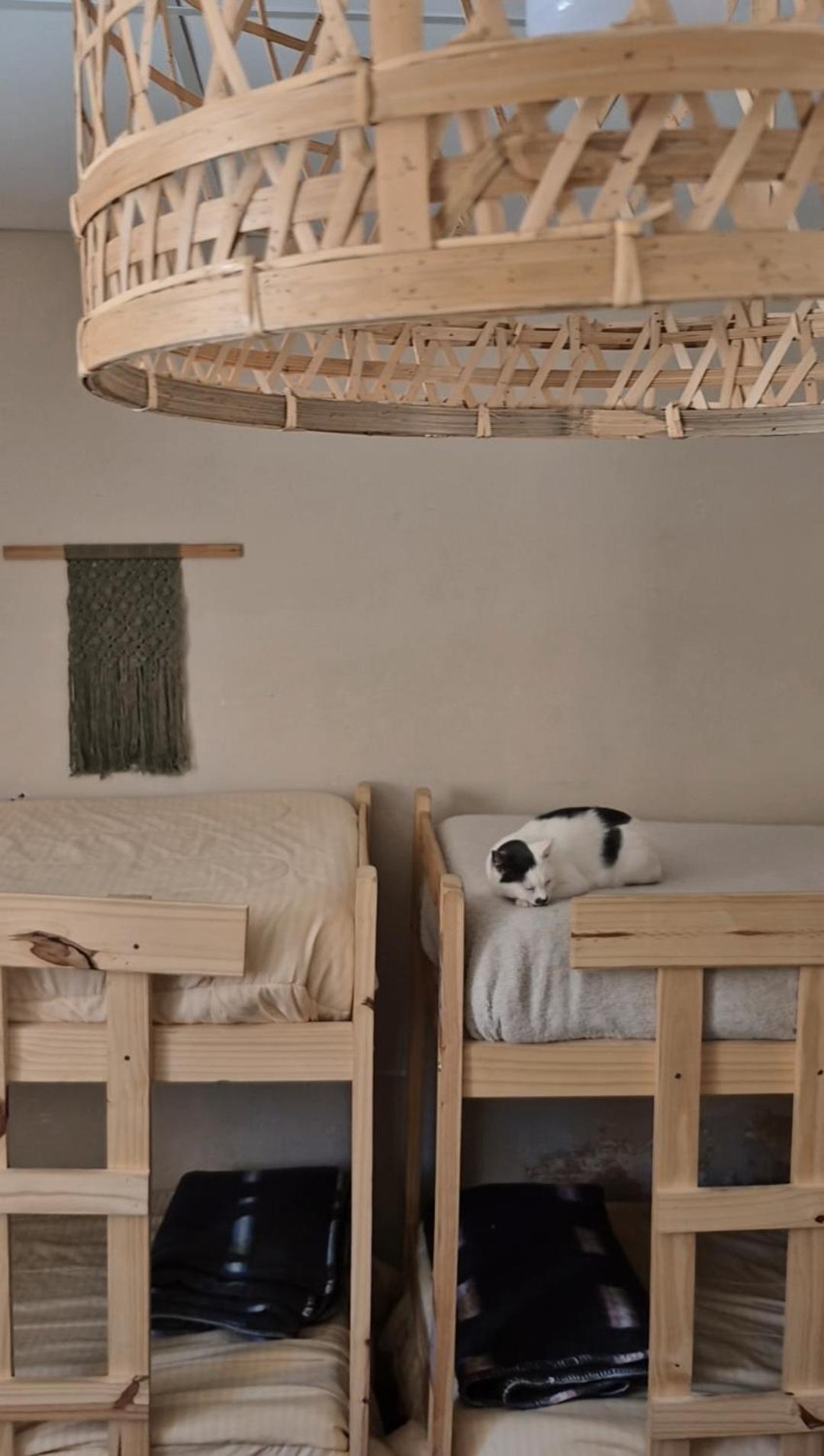 Mestiza Hostal Humahuaca Εξωτερικό φωτογραφία